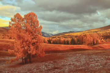 斯巴鲁傲虎怎么样啊？